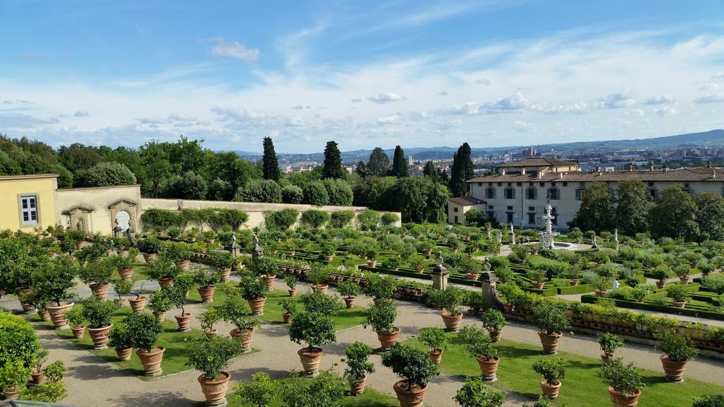 Ulivi Di Castello Florença Exterior foto